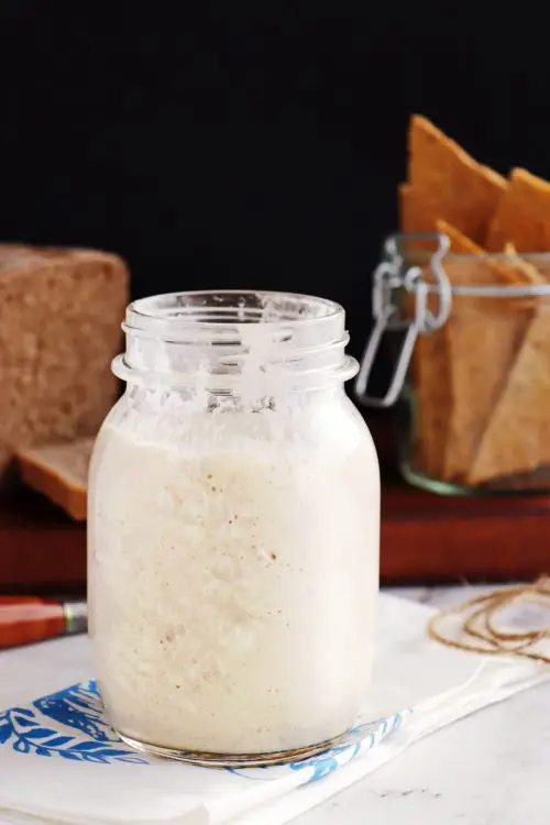 Sourdough Starter