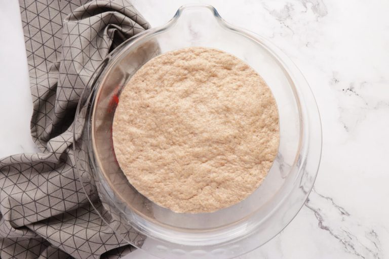 Step 5 - Whole Wheat Pita Bread