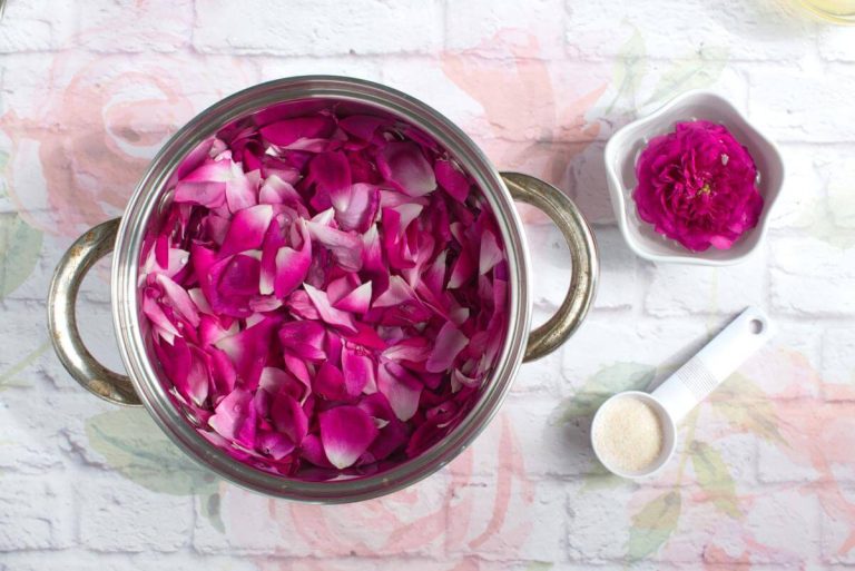 Step 1 - Homemade Rose Petal Jam
