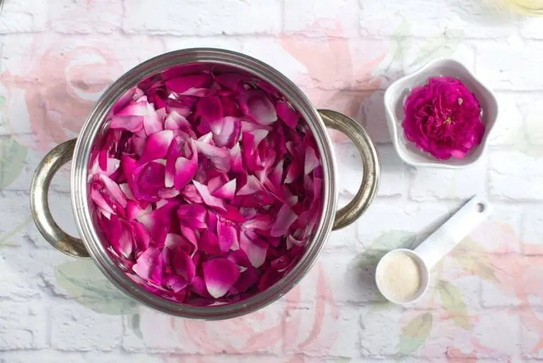 Homemade Rose Petal Jam recipe - step 1