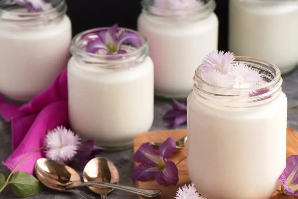 Japanese Milk Pudding