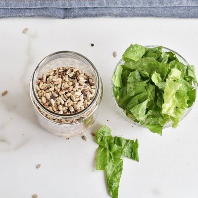 Basic Mason Jar Salad recipe - step 1