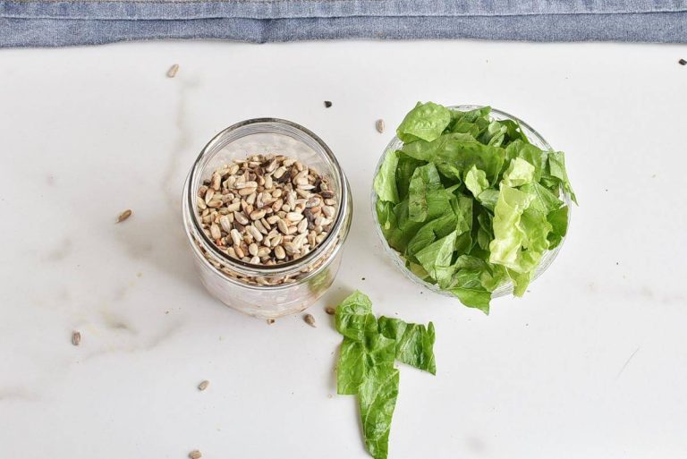 Step 1 - Basic Mason Jar Salad