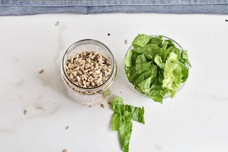 Step 1 - Basic Mason Jar Salad
