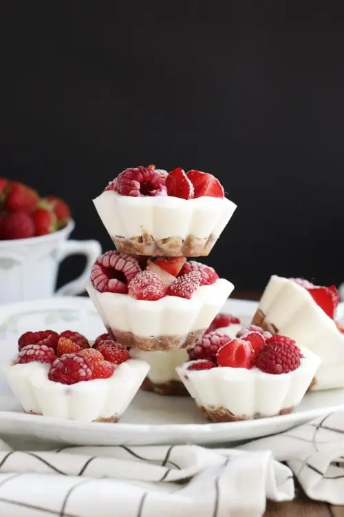 FroYo Berry Bites