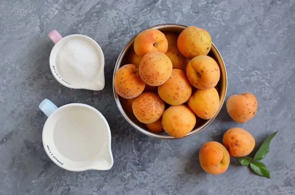 Ingredients for Raw Fruit Leather