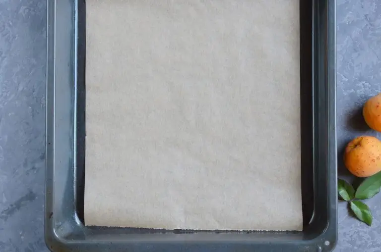Step 2 - Raw Fruit Leather