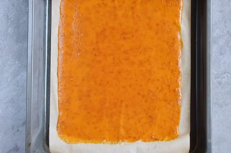 Step 4 - Raw Fruit Leather