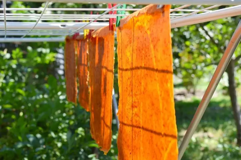 Step 6 - Raw Fruit Leather