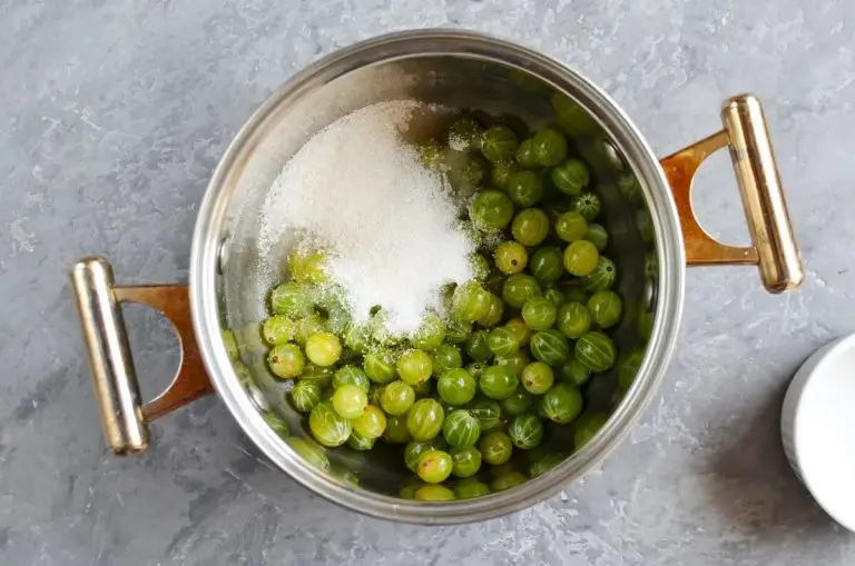 Step 1 - Gooseberry Ice Cream
