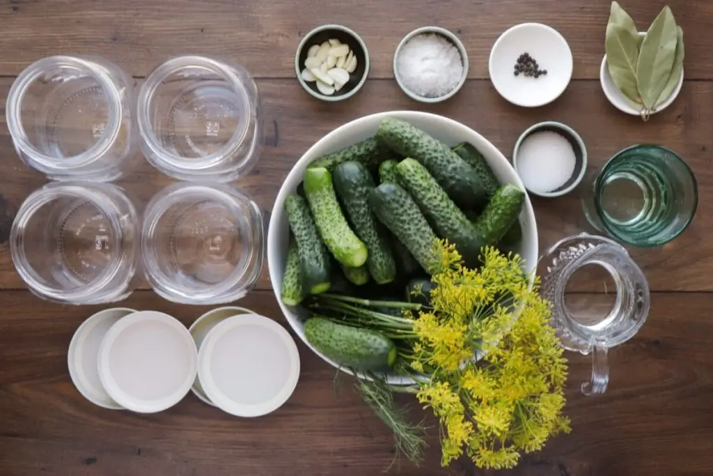 Ingredients for Best Canned Dill Pickle