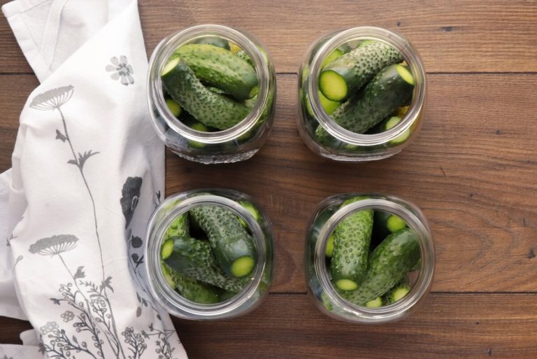 Step 1 - Best Canned Dill Pickle
