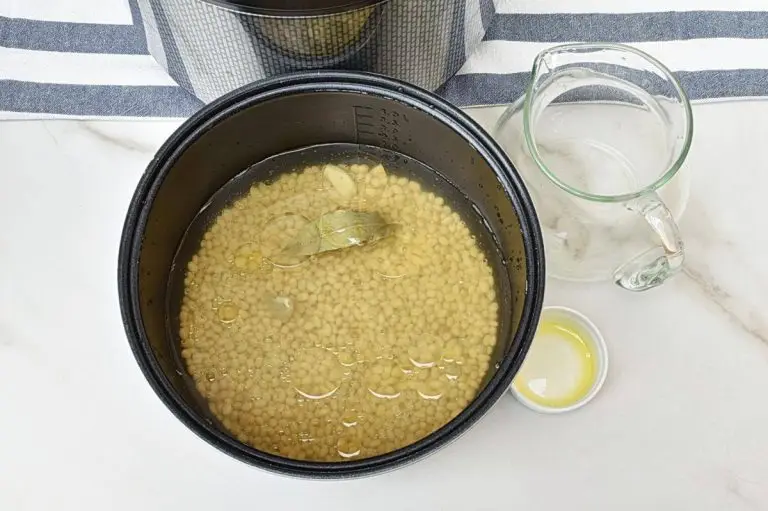 Step 1 - Instant Pot Beans