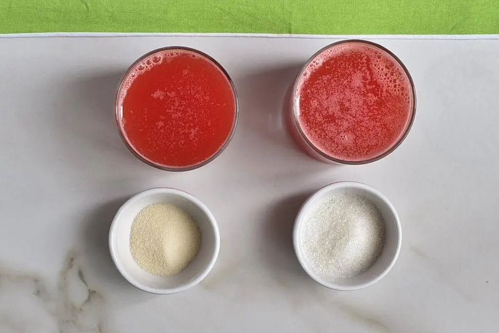 Ingredients for Vegan Watermelon Jello