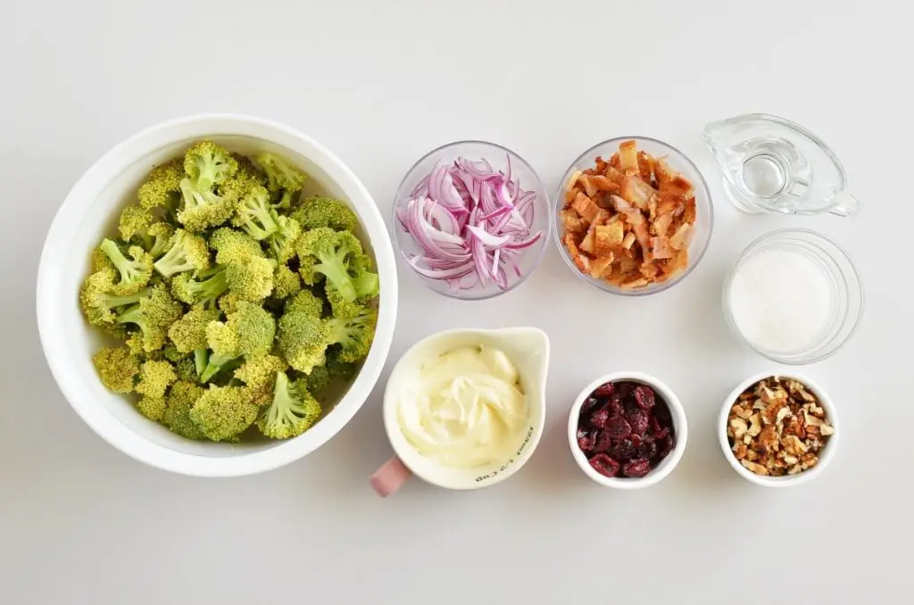 Ingredients for Christmas Craisin Broccoli Salad