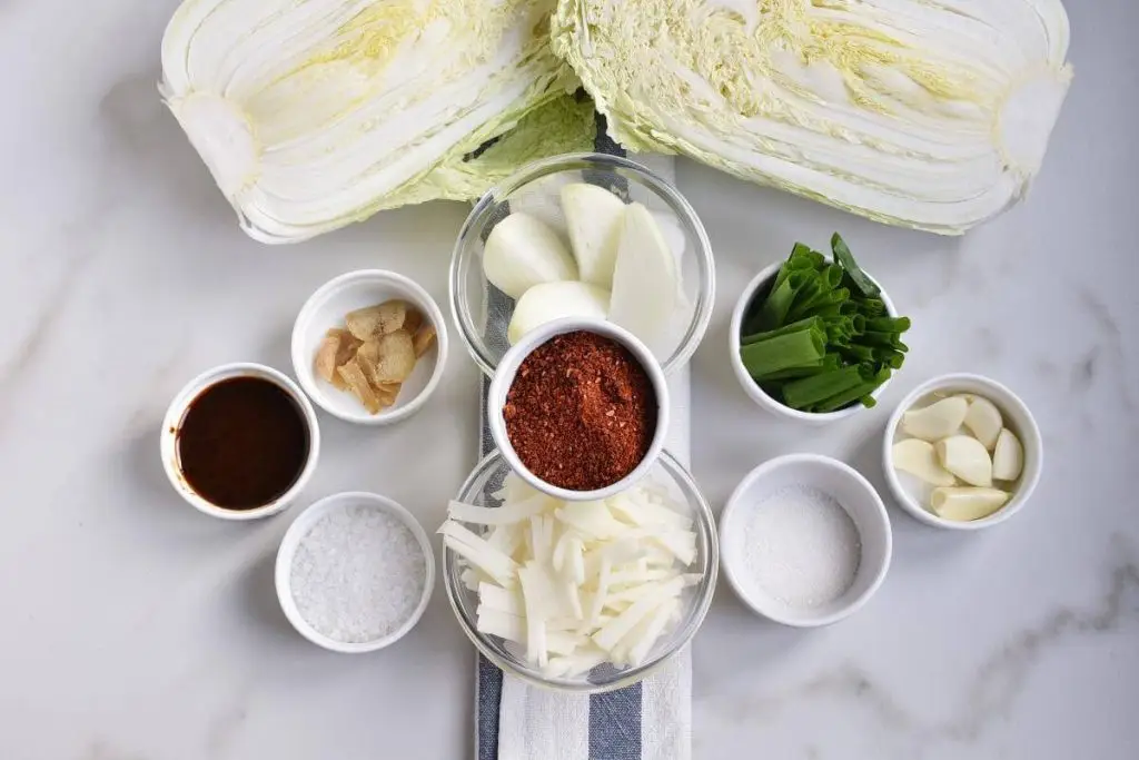 Ingredients for How to Make Kimchi (Kimchee)