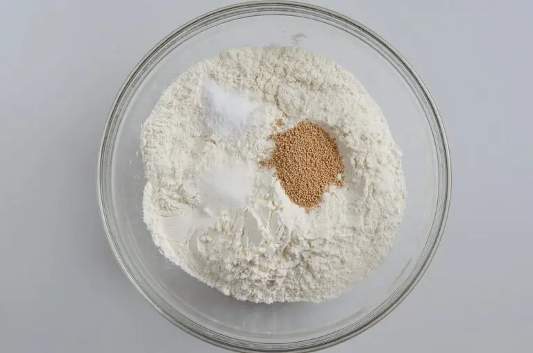Step 1 - 1-Hour Pizza Dough