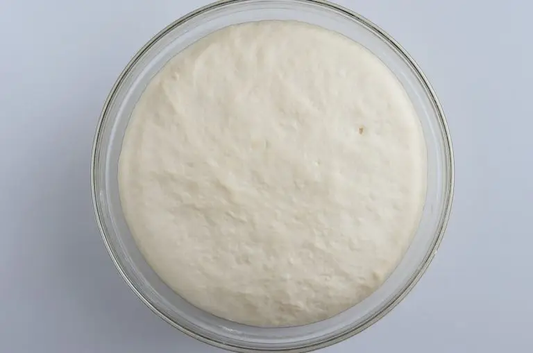 Step 3 - 1-Hour Pizza Dough