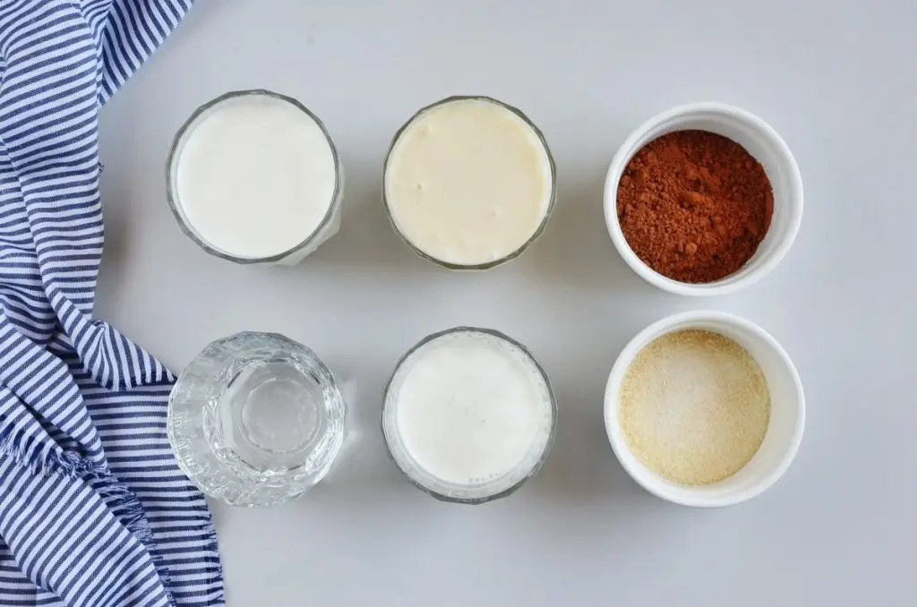Ingredients for Chocolate Jello