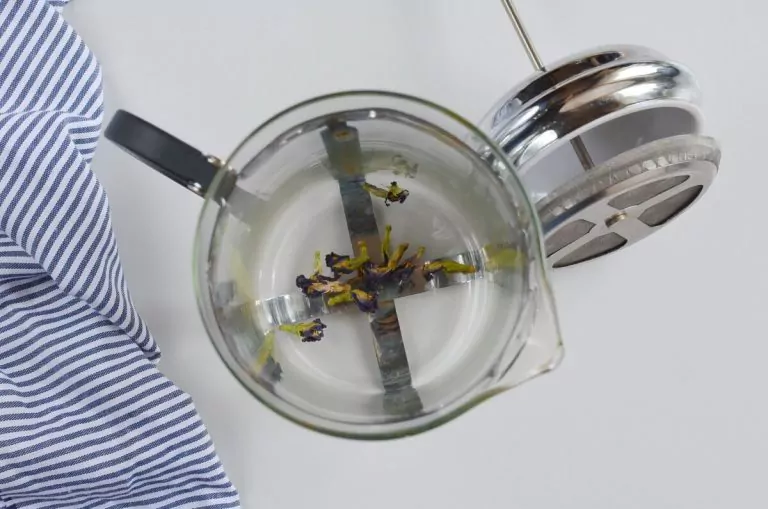 Butterfly Pea Flower Tea Latte recipe - step 1