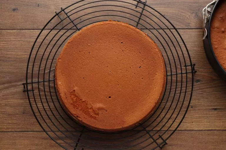 Step 9 - Vanilla Cake Recipe