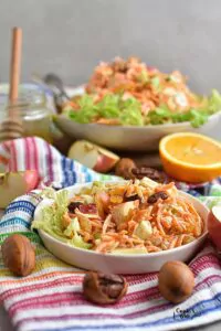 Carrot Apple Salad with Yogurt Dressing