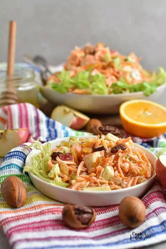 Carrot Apple Salad with Yogurt Dressing