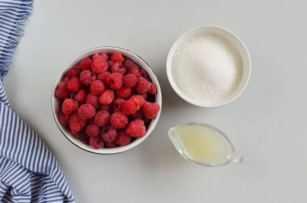 Ingredients for Raspberry Sorbet