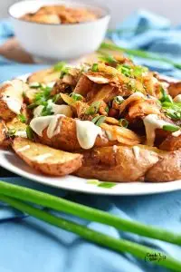Vegan Kimchi Fries