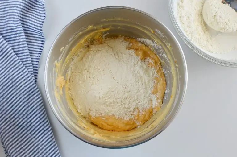 Step 8 - Soft and Fluffy Pumpkin Dinner Rolls