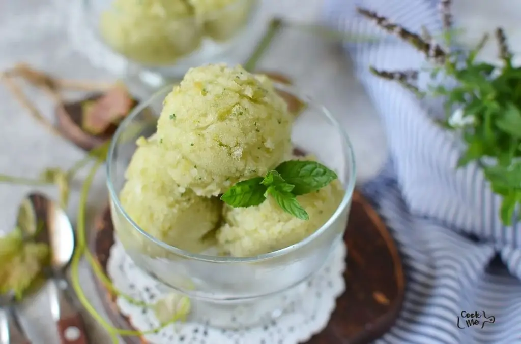 No-Churn Vegan Grape Sorbet