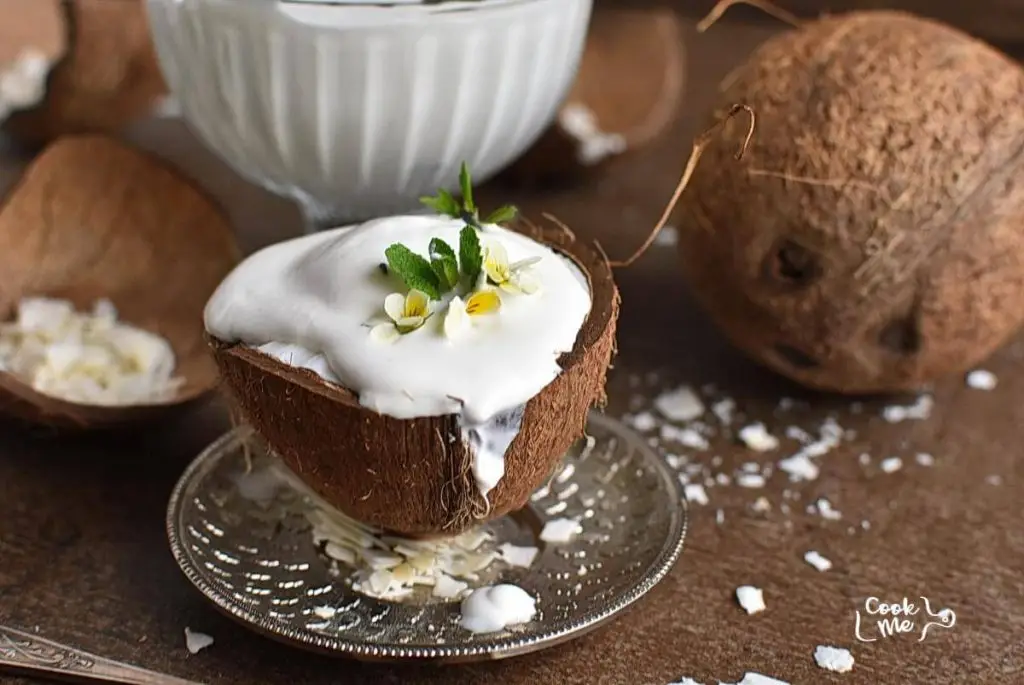 Dairy Free Vanilla Ice Cream
