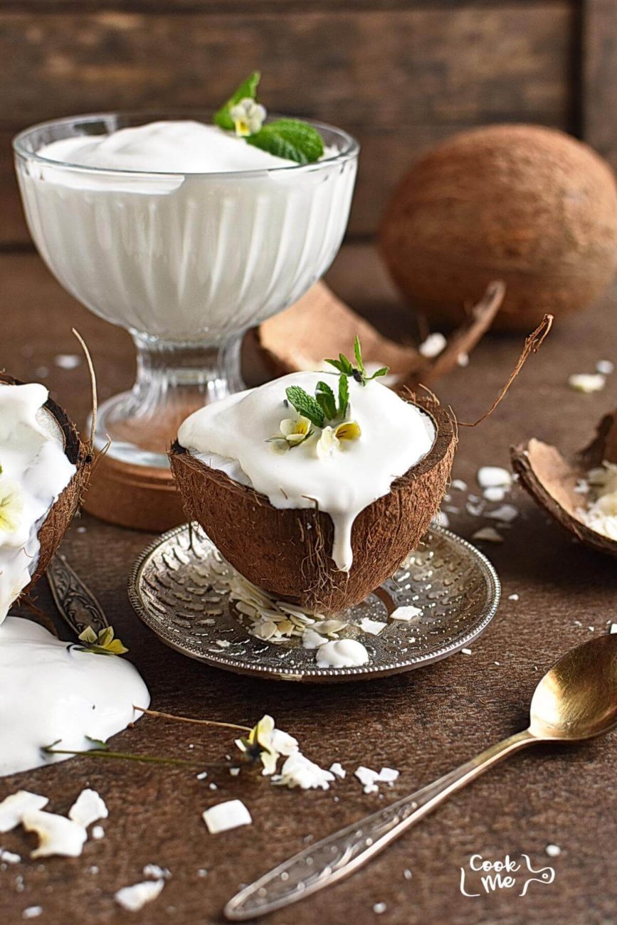 Dairy Free Vanilla Ice Cream Recipe Cook.me Recipes