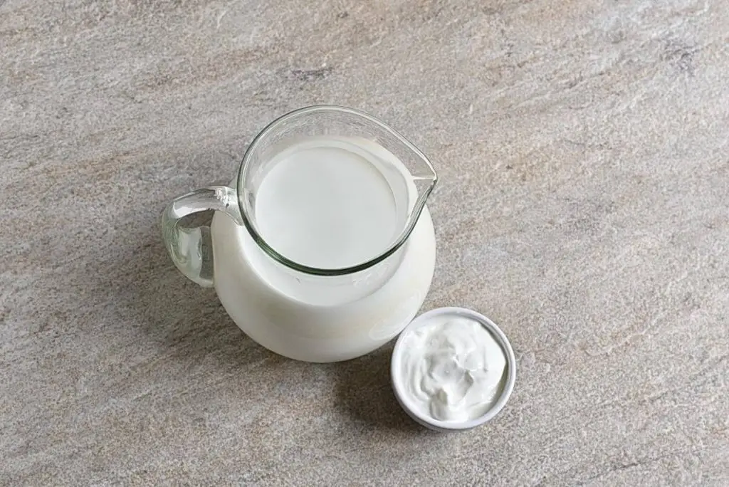 Ingredients for Homemade Yogurt