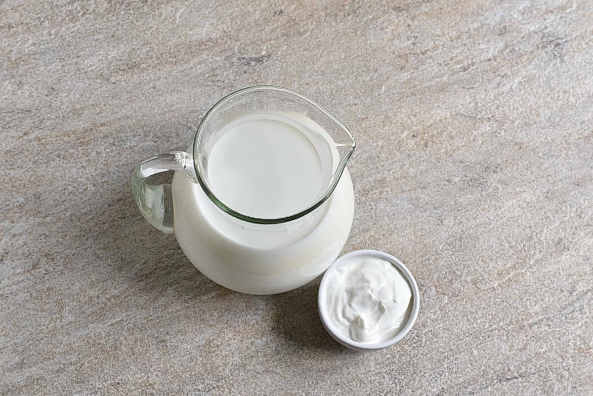 Ingridiens for Homemade Yogurt