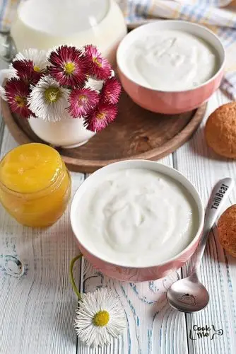 Homemade Yogurt