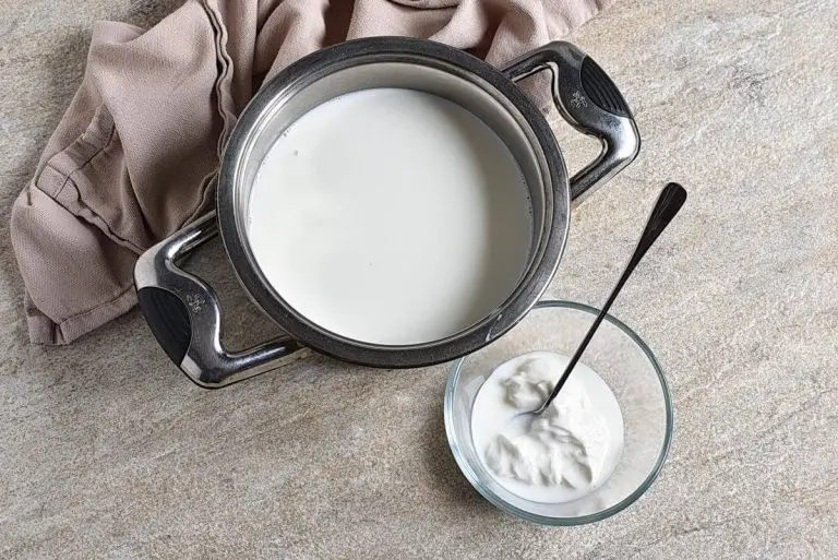 Step 3 - Homemade Yogurt