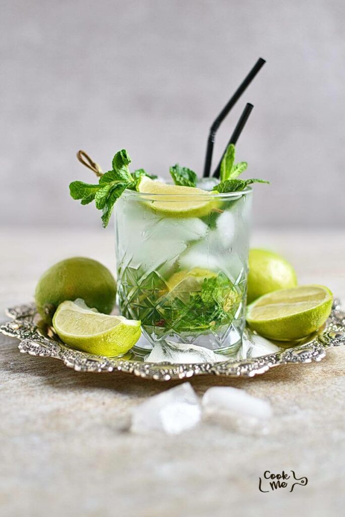 Virgin Mojito Recipe {Mojito Mocktail} - Sustainable Cooks