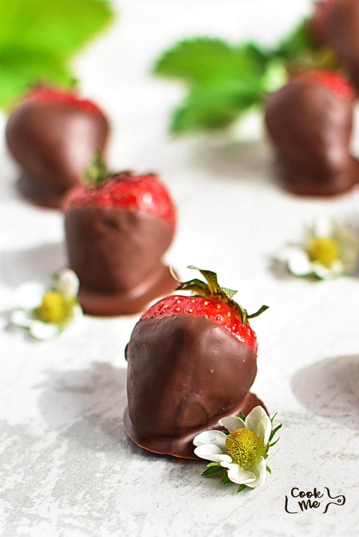Chocolate Covered Strawberries Recipe Cook.me Recipes