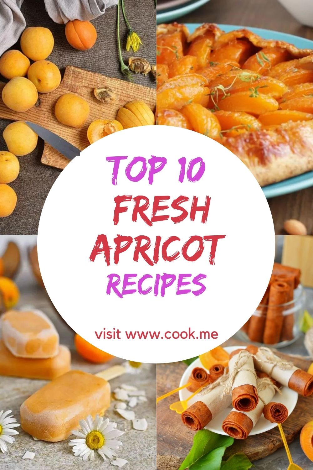 TOP 10 Fresh Apricot Recipes Cook.me Recipes