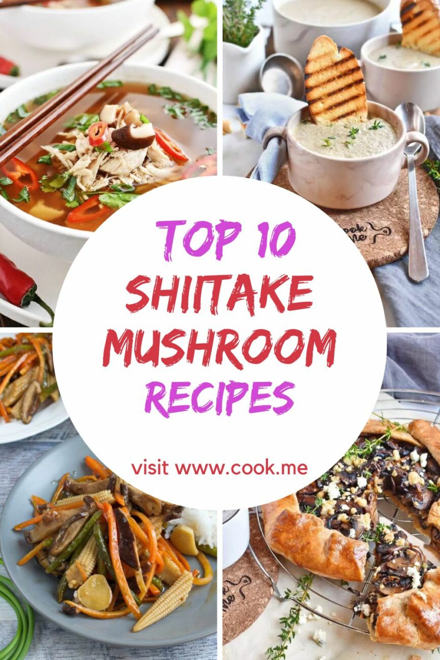 TOP 10 Shiitake Mushroom Recipes-10 Best Shiitake Mushrooms Recipes-Best Shiitake Mushroom Recipes to Try
