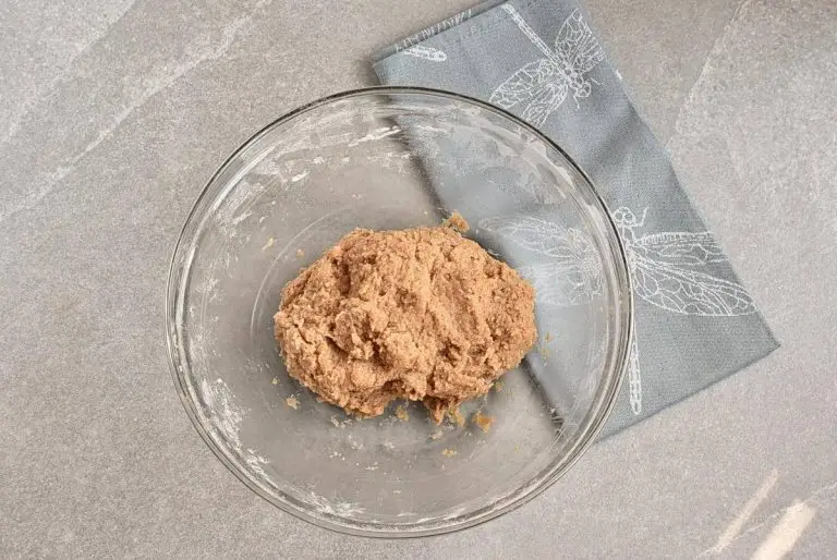 Step 4 - 100% Whole Wheat Graham Crackers