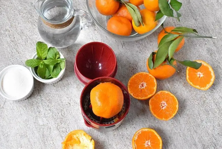 Step 1 - Tangerine Mint Agua Fresca