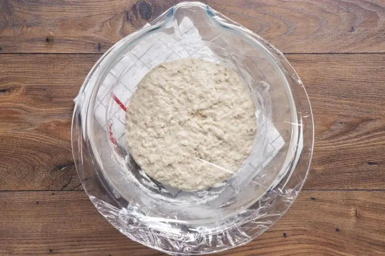 Step 4 - No-Knead Honey Oat Bread