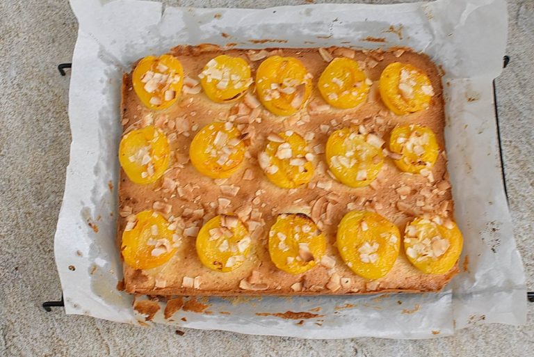 Step 11 - Apricot Slice