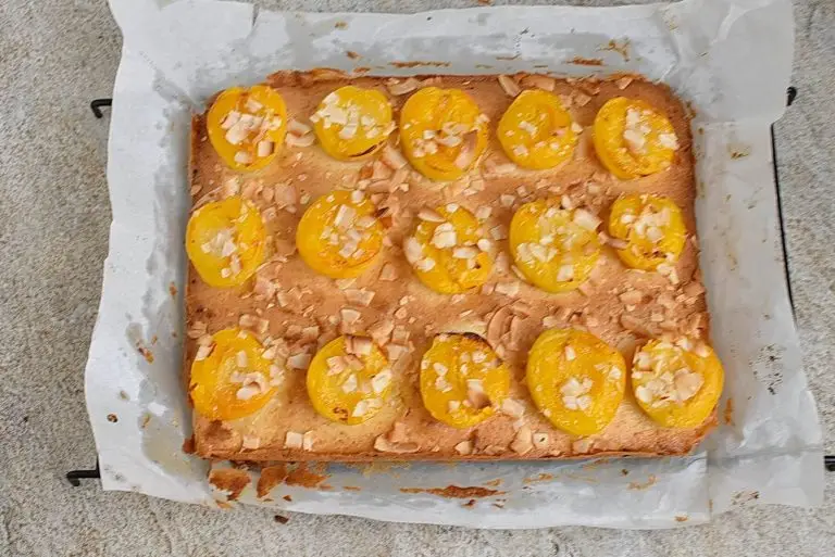Step 11 - Apricot Slice