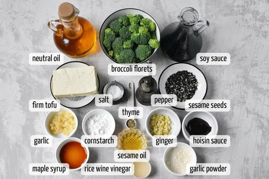 Ingredients for Vegan Tofu Broccoli Stir Fry with Garlic Ginger Sauce