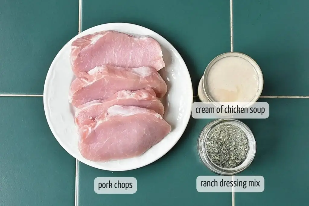 Ingredients for 3-Ingredient Slow Cooker Pork Chop
