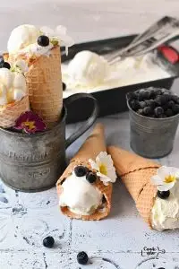No Egg Vanilla Ice Cream Recipe