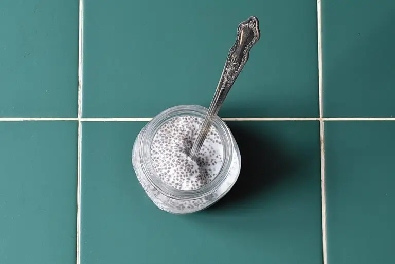 Step 1 - Vegan Chia Seed Pudding